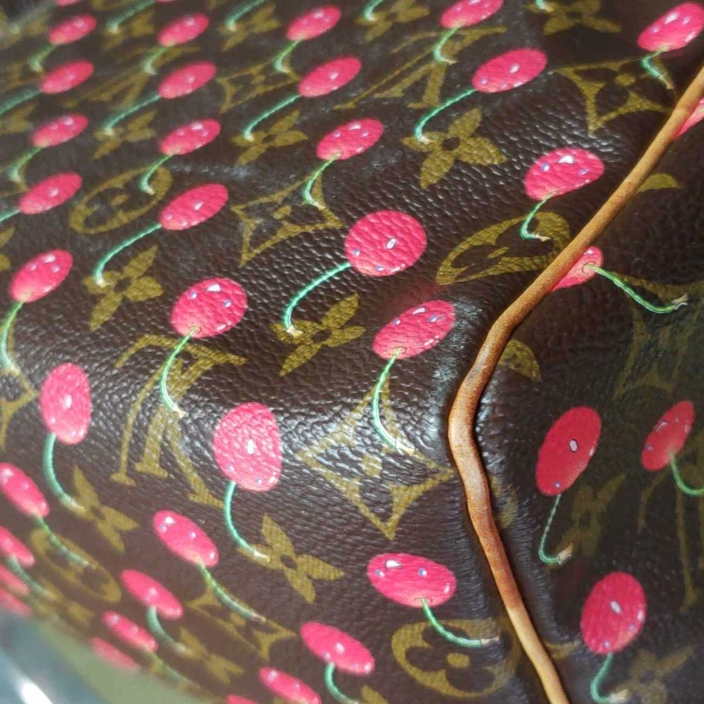 Louis Vuitton Monogram Cherry Cerises Speedy 25 - Picture 6 of 8